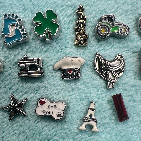 Floating Locket Charms - Picture 3 of 5